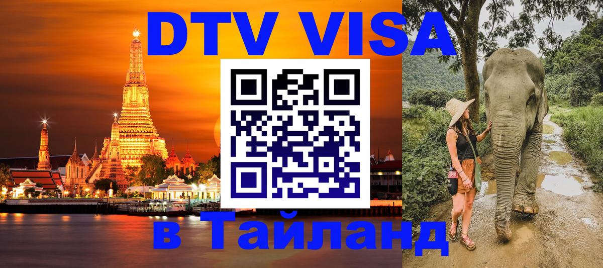 Оформление DTV визы под ключ: стоимость и тарифы, только загранпаспорт - 18.11.2025 